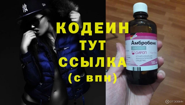 PSILOCYBIN Михайлов