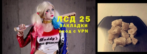 PSILOCYBIN Михайлов