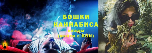 PSILOCYBIN Михайлов