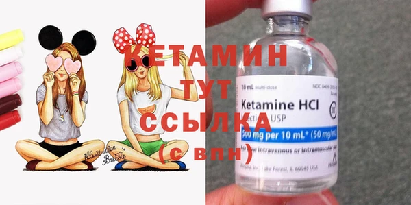 PSILOCYBIN Михайлов