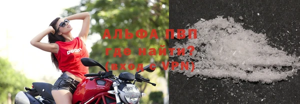 PSILOCYBIN Михайлов