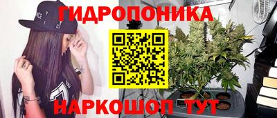 крисы Бугуруслан
