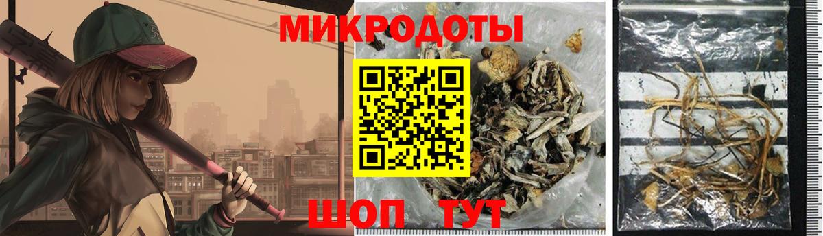 Ростов-на-Дону  Галлюциногенные грибы мицелий  Псилоцибиновые грибы Psilocybe  Вход с VPN 